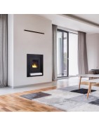 Inserts à bois bouilleur (aquaflam.fr)