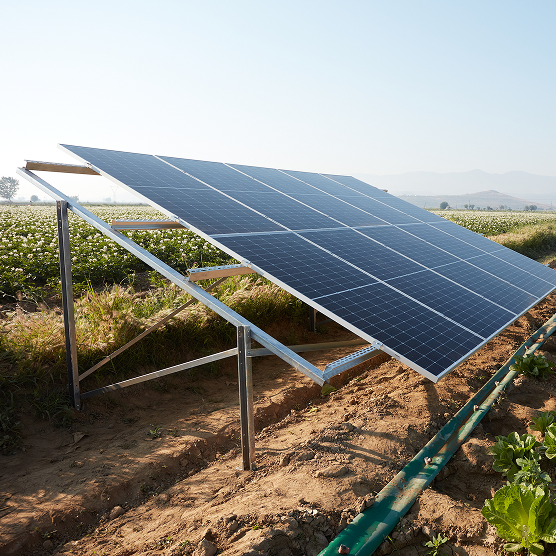 Installation Chloé B. - Niort, France
